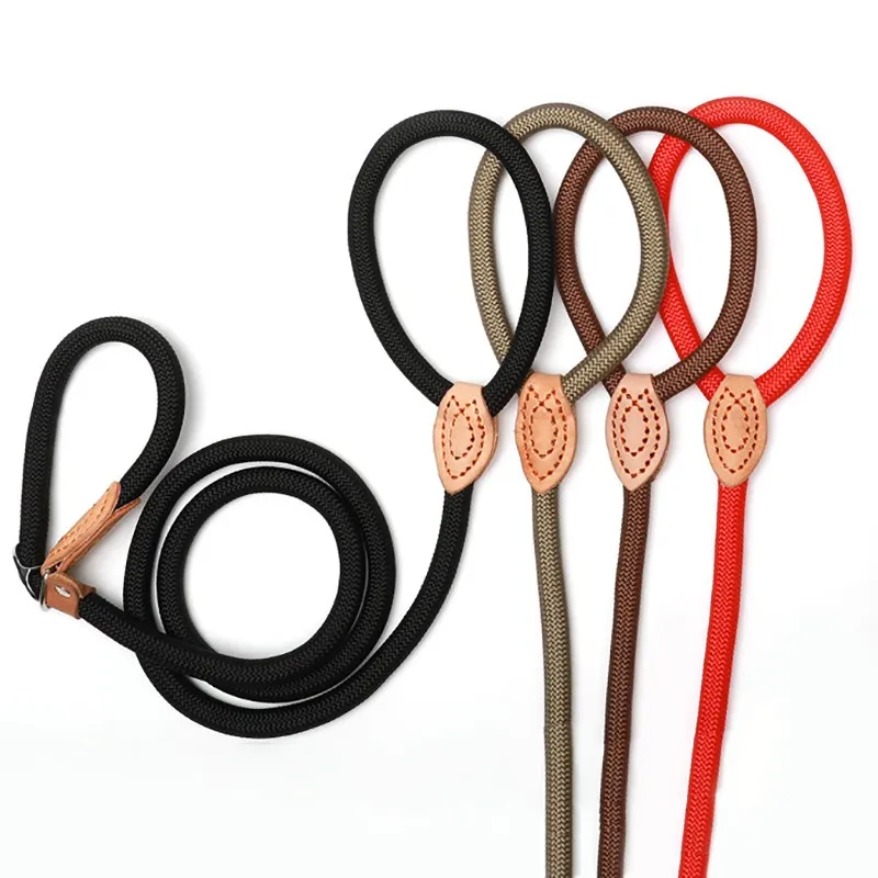 Dog Leash Slip Rope Lead Leash Heavy Duty Braided Rope Adjustable Loop Collar Training Leashes for 1005005440351286