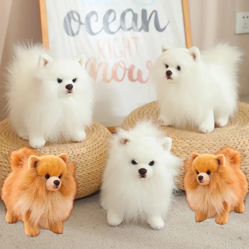 Premium Simulation Pomeranian Dog Plush Toy Cute Stuffed Animals High Quality Puppy Plushies Doll 1005005456538640