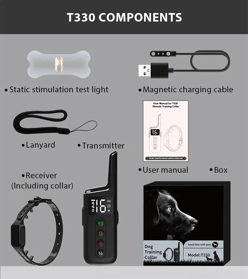 View 6