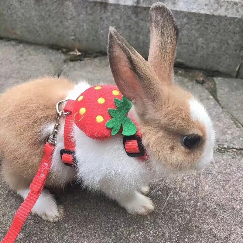 Cartoon Rabbit Harness and Leash Set Walking Adjustable Pet Harnesses for Small Animals Bunny 1005005561994534