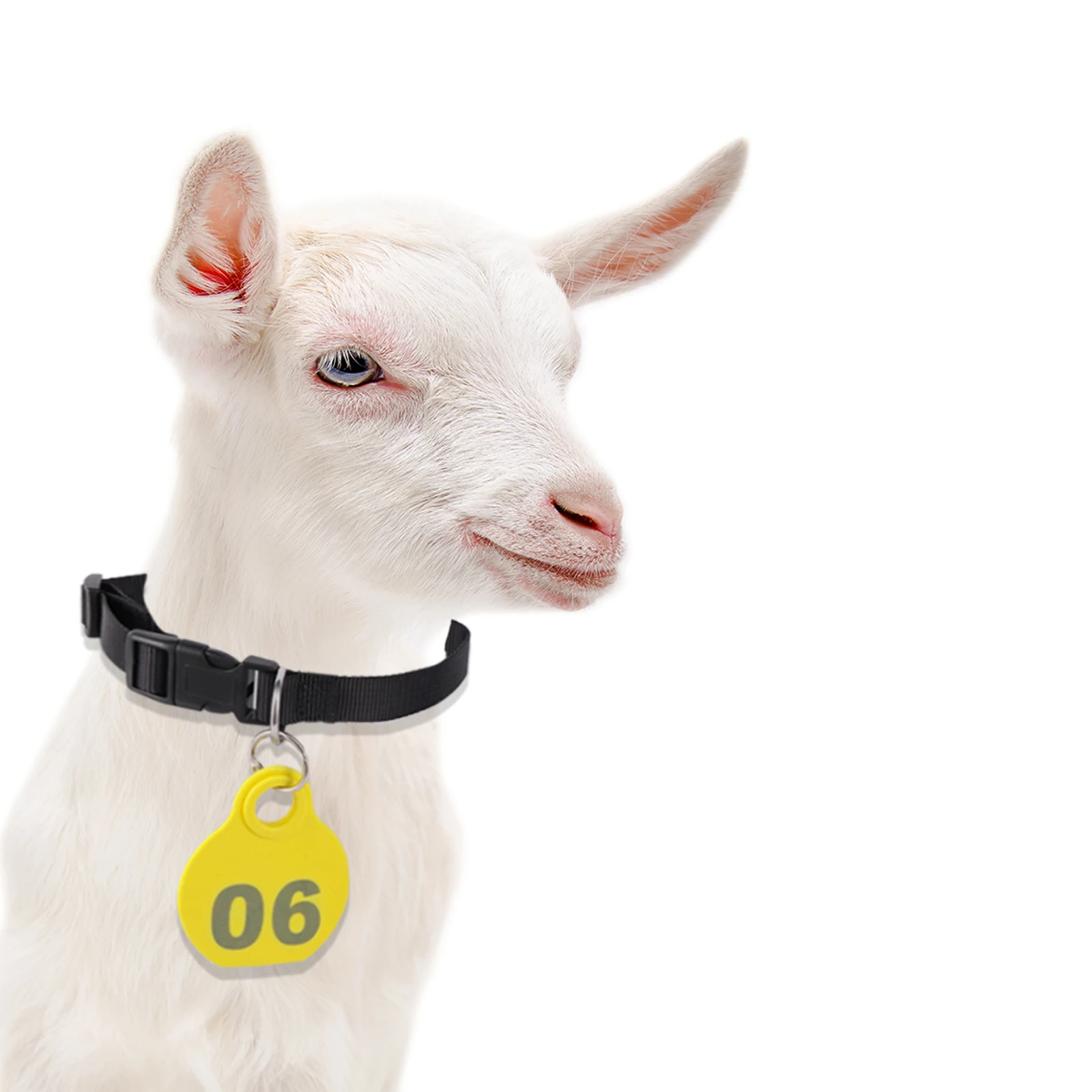 High-quality PU plastic pet dog tag farm cattle and sheep tag collar poultry carrying goods number 1005005691190970