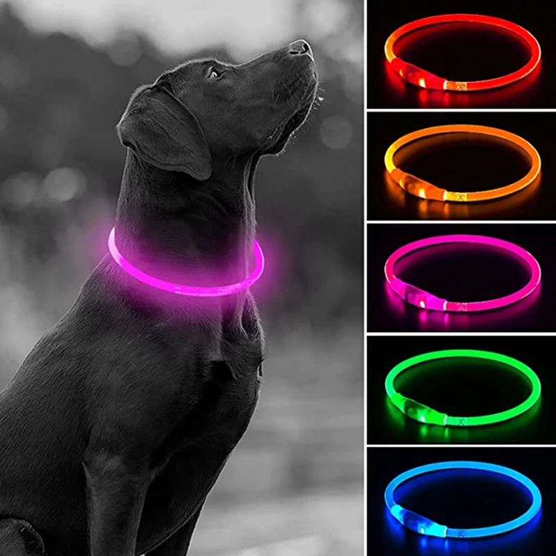 Led Usb Dog Collar Pet Dog Night Luminous Charge Collar Led Night Safety Flashing Glow Dog Loss 1005005704891093