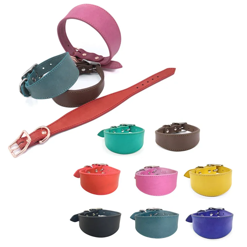 Collar Whippet Leather Soft Suede Pedded Wide Collars Lurcher and Italian Greyhound Saluki 1005005736300207