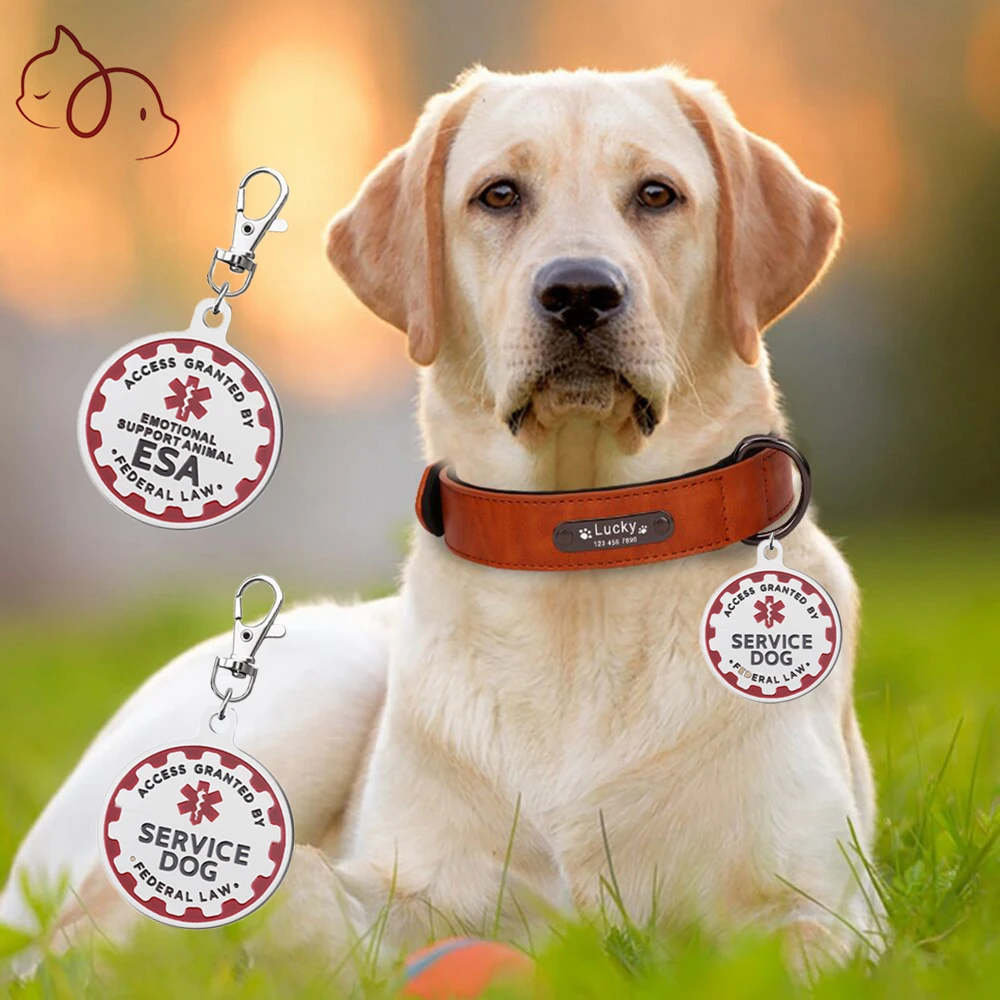 Service Dog ID Tags for Dogs Id Tags Pet Name Tag For Small Medium Large Dog Collar Accessories 1005005754282737