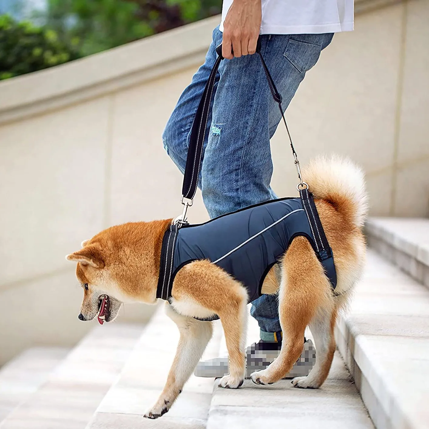 Dog Support Harness Dog Assisted Belt for Front and Rear Legs Pet Recovery Vest Elastic Adjustable 1005005760150804
