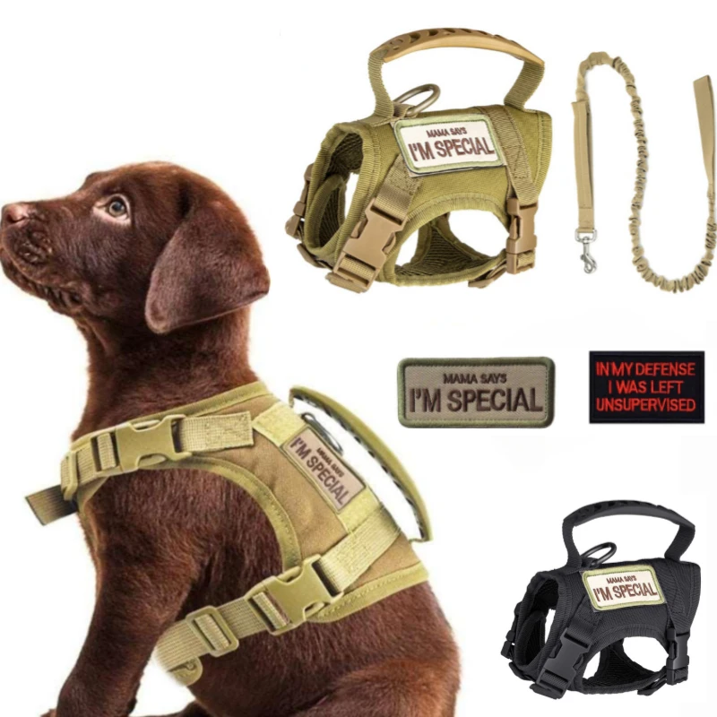 Tactical Harness Vest Dog Harness Leash Set for Small Dogs Training Easy Control Vest Pet Chest 1005005815067278