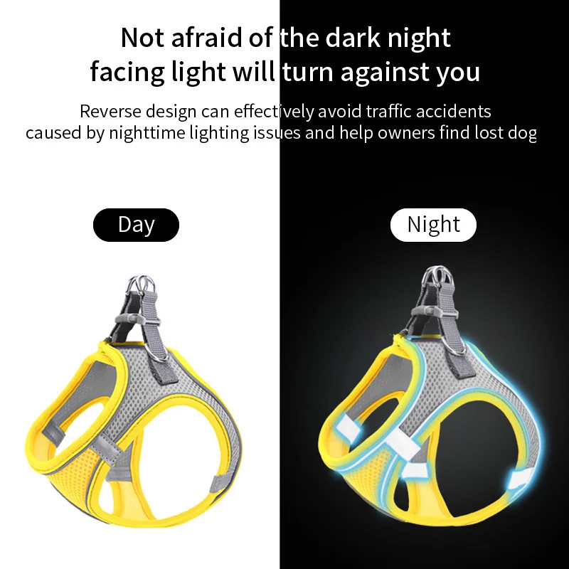 View 5