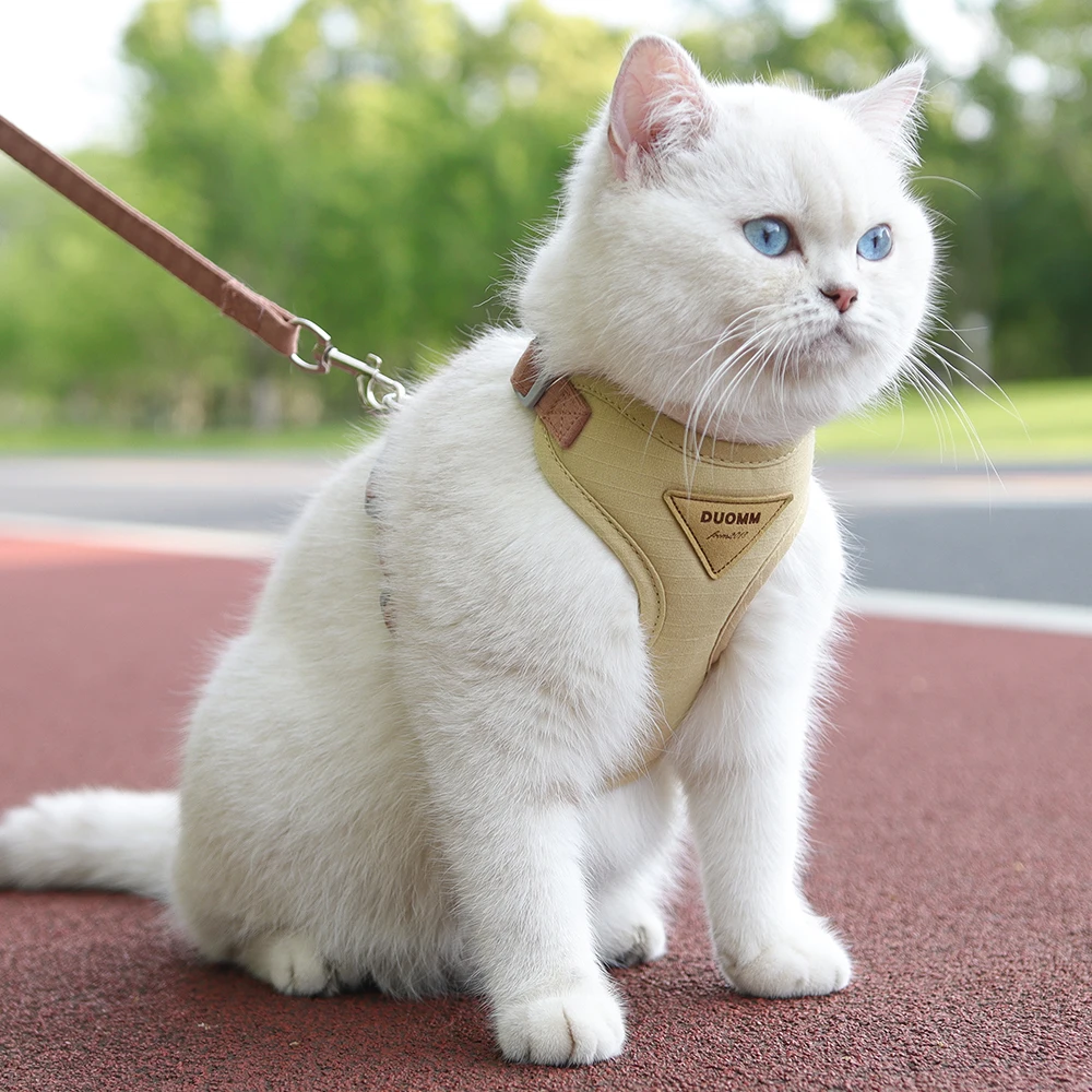 Cat Puppy Outdoor Walking Supplies Fashion Pet Harness and Leash Set for Small Dogs Cats Breathable 1005005874729146