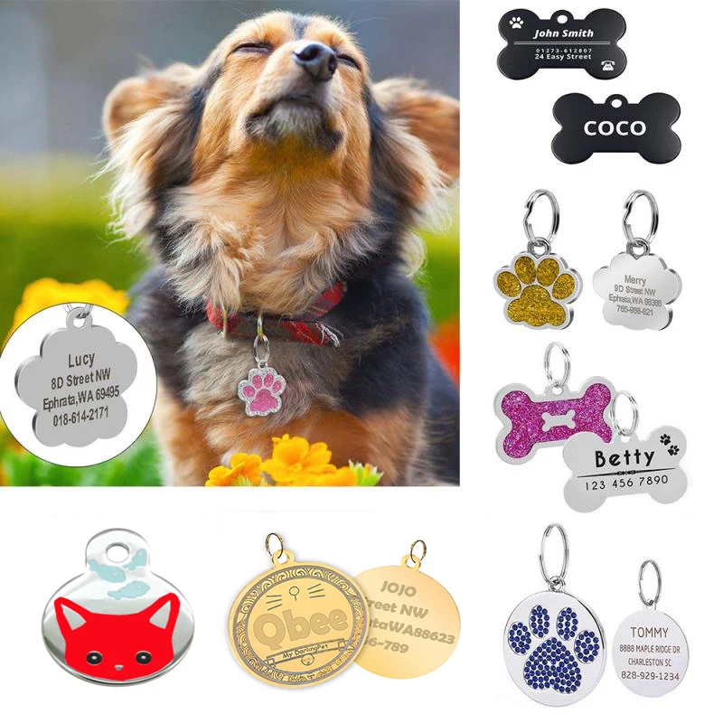 Engraved Pet Tags for Samll Large Cats Dogs Custom Pet Collars Personalized Pet Name Adress Number 1005005895566204