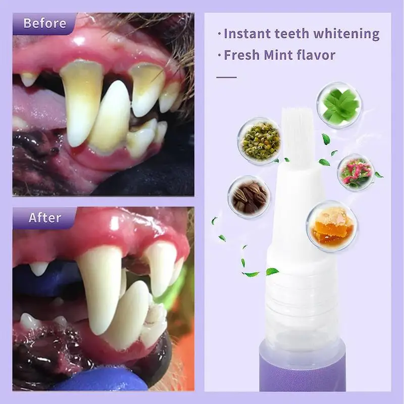 View 5