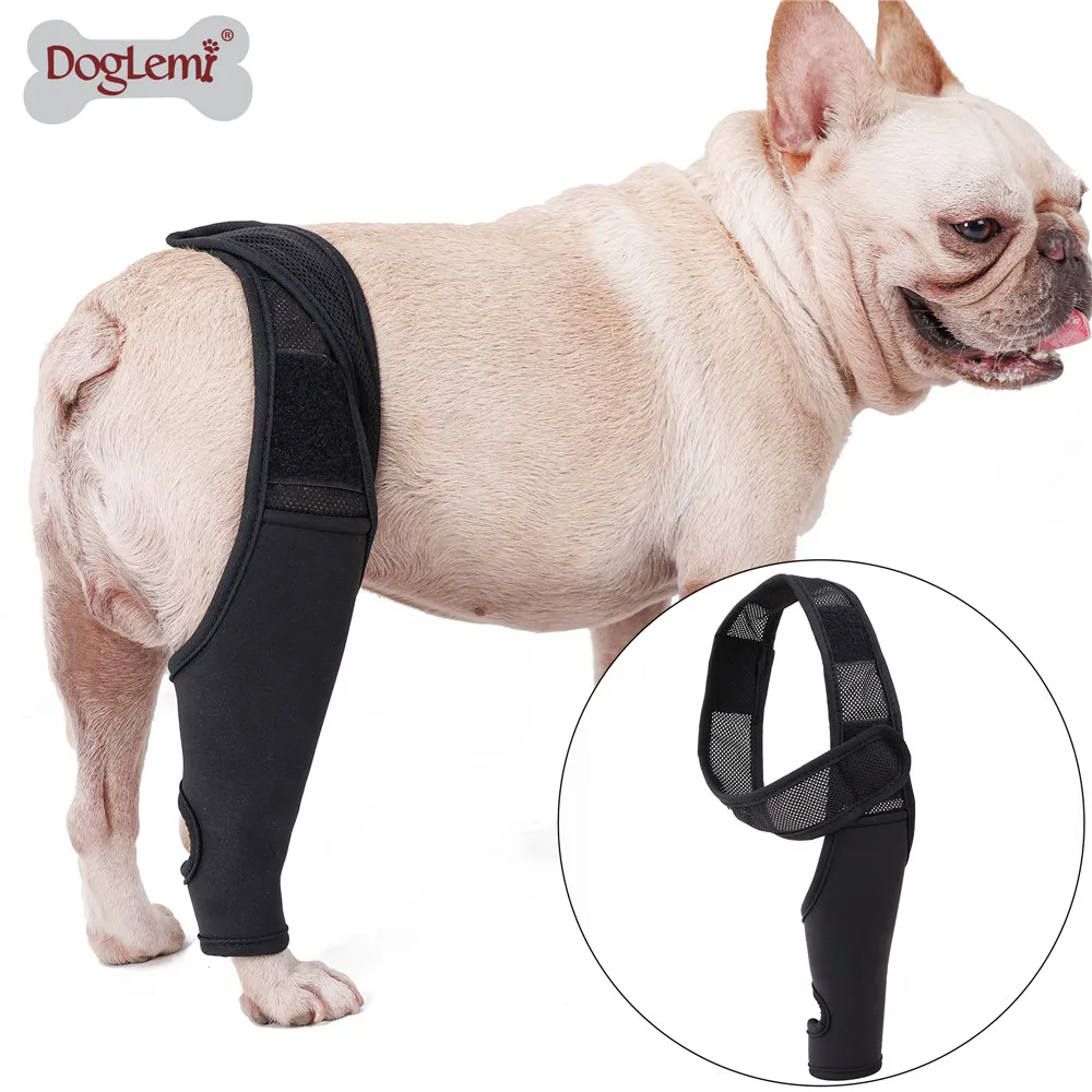 Dog Knee Brace Injury Recovery Fixed Support Brace Pet Leg Pain Relief Joint Wrap Brace For Elderly 1005005948353596