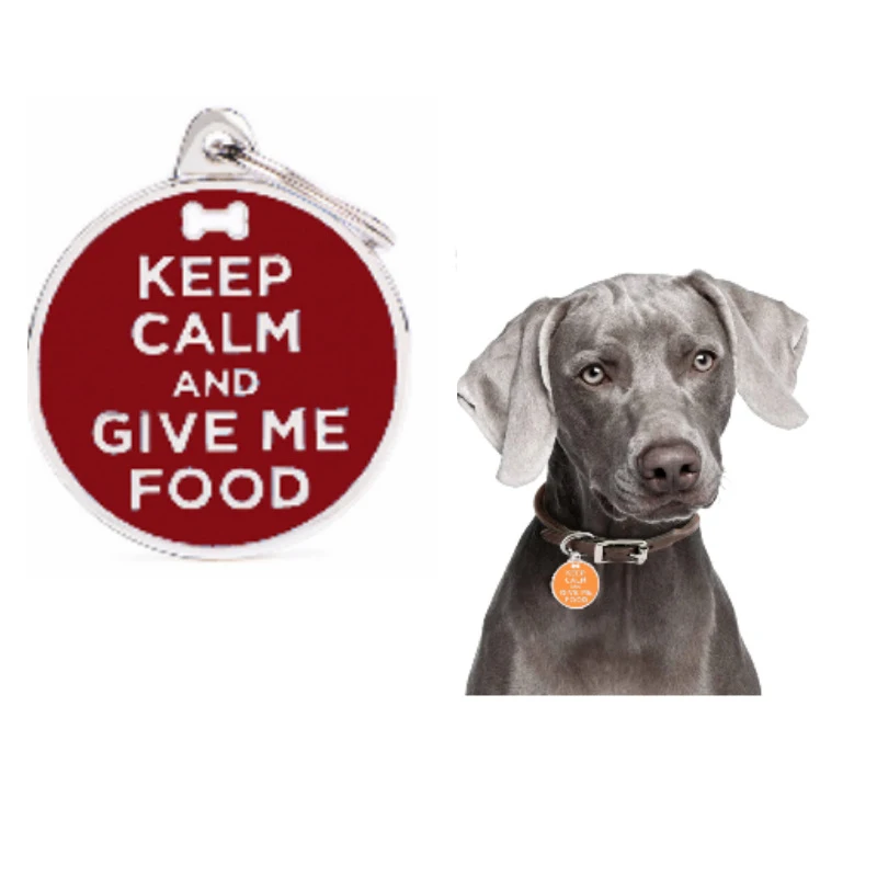 Customized Dog ID Tag Personalized Engraving Pet Cat Name Tags Collar Accessories Anti-lost 1005005968388933