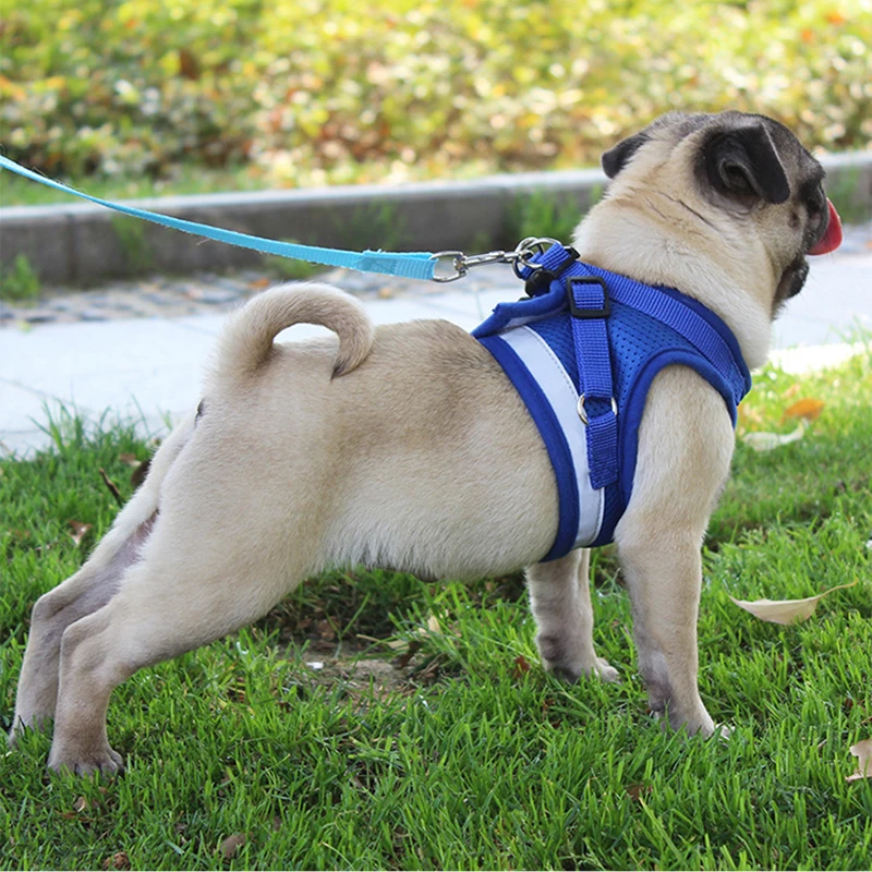 Mesh Dog Harness Leash Set for Small Pet Dogs Puppy Pug Bulldog Pulling Rope Breathable Vest Collar 1005005983694544