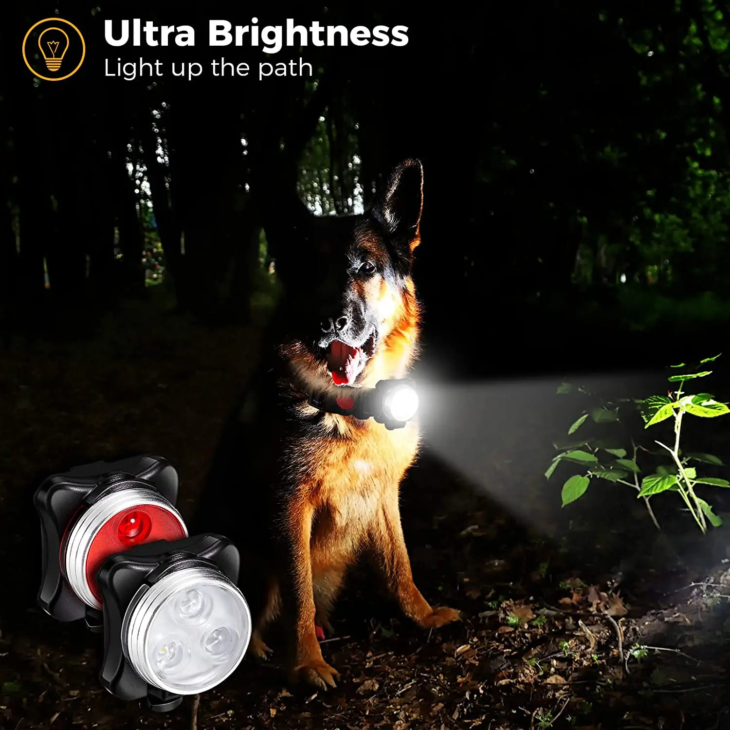 Pet Dog Led Light Lamp Tag Led Dog Collar Light Pendant Glow Night Safety Led Dogs Flashlight For 1005006007369931