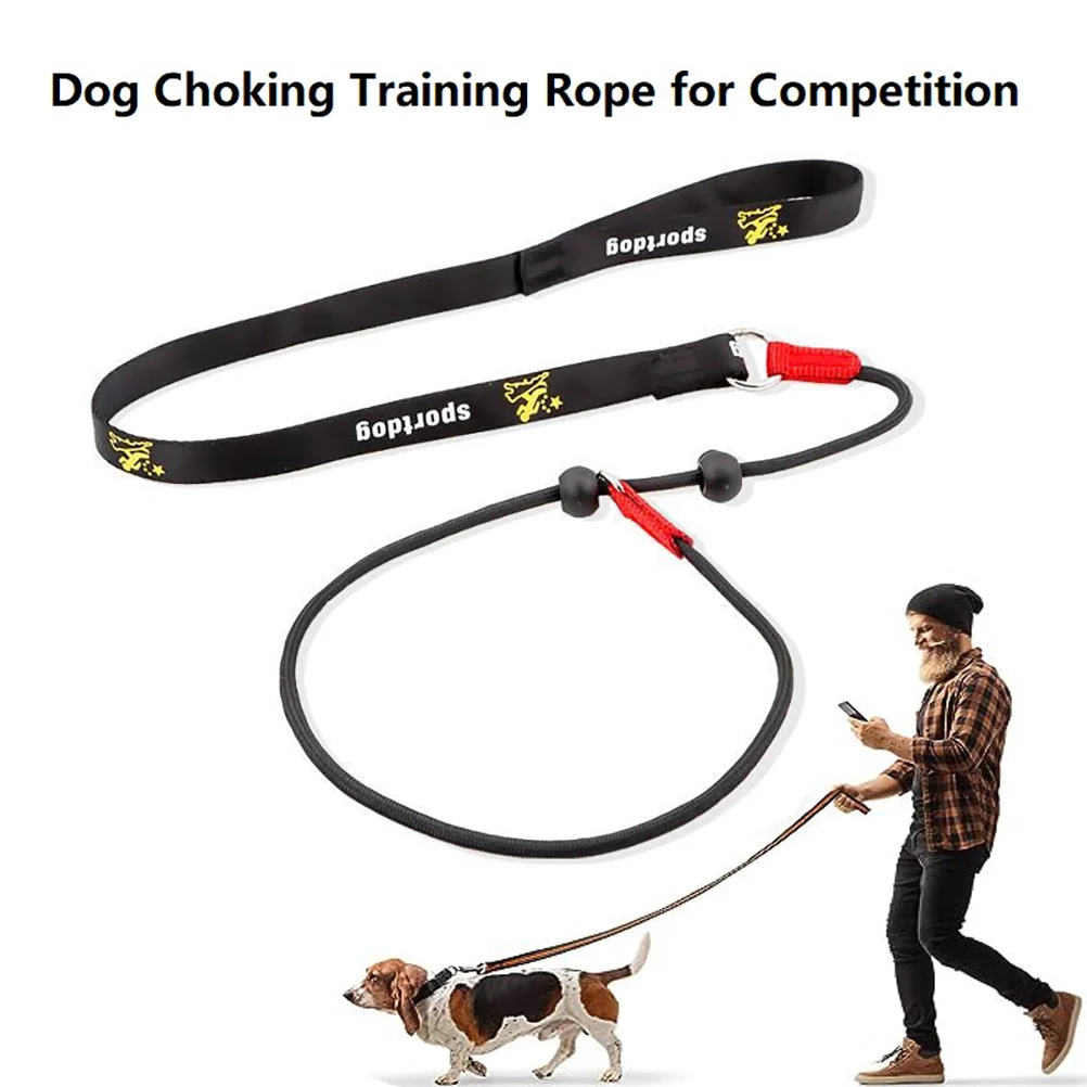 Training Dog Choking Rope Leash 2 in 1 Lead Collar 150cm P-Shaped Chain Slip Lead Control Leash for 1005006017935472