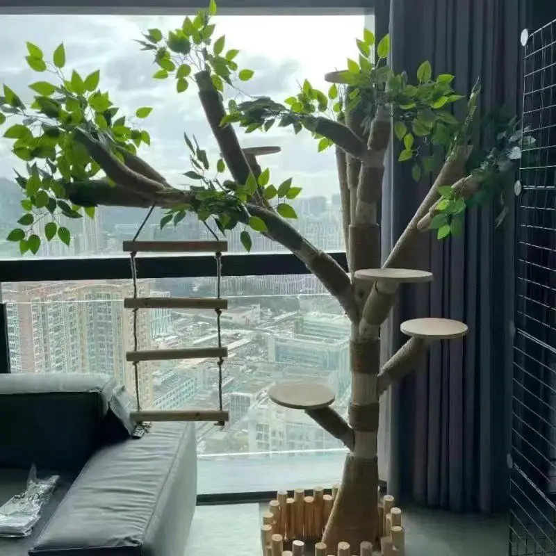 View 6