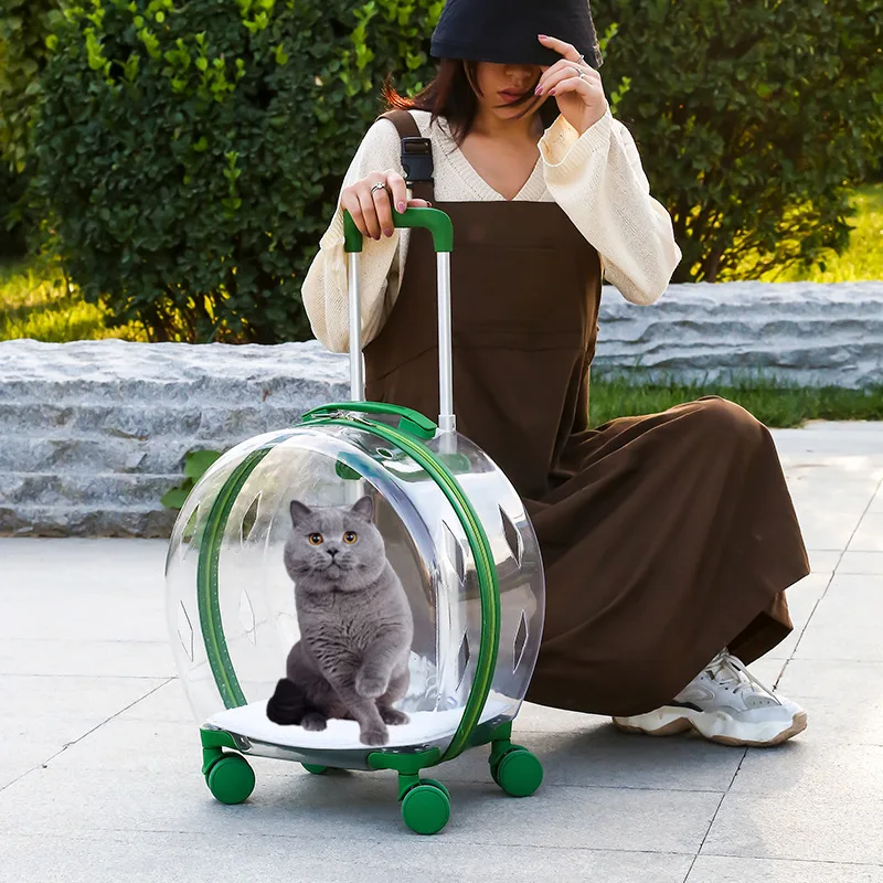 Trolley Suitcase Carrier Transparent Pet Carrying Bag Cats Conveyors Carrying and Strollers Cat 1005006037605008