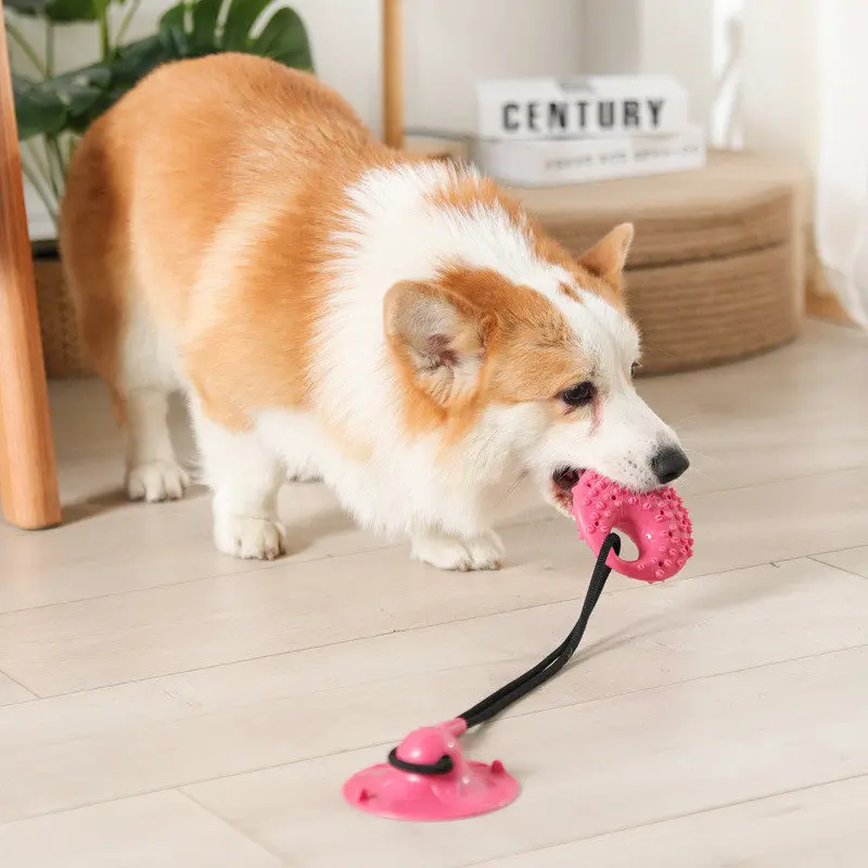 Dog Toys Silicon Suction Cup Tug Interactive Dog Ball Toy for Pet Chew Bite Tooth Cleaning 1005006045524842