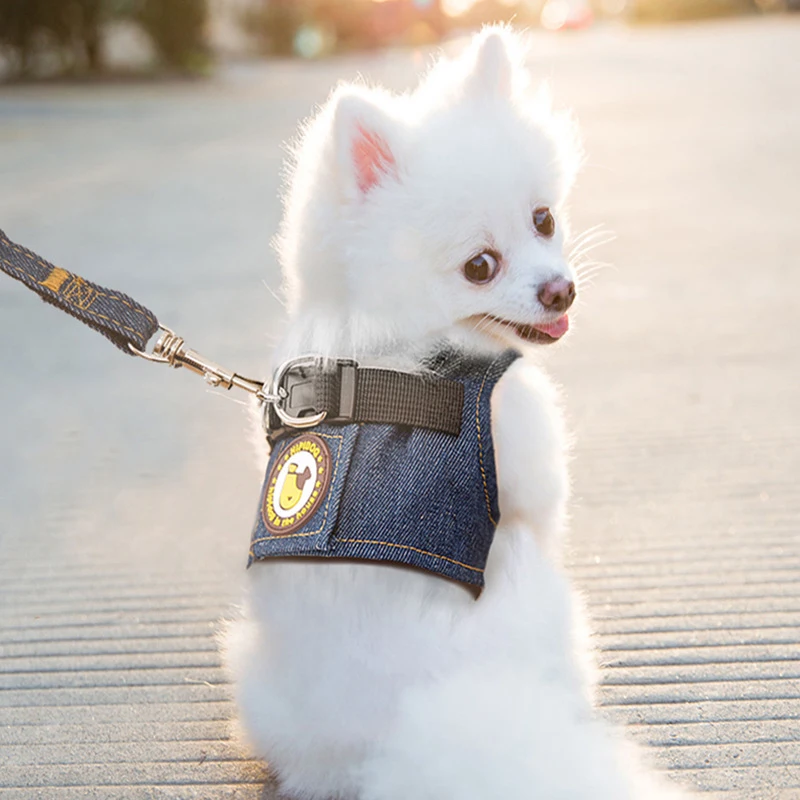 Safety Pet Dog Harness and Leash Set for Small Medium Dogs Cat Harnesses Vest Puppy Chest Strap Pug 1005006067669703