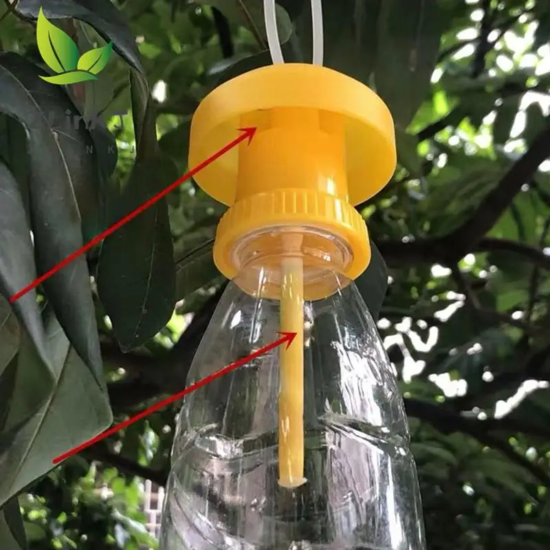 Flypaper Insect Pest Control For Home Farm Orchard Fruit Fly Trap Killer Plastic Yellow Drosophila 1005006082902950
