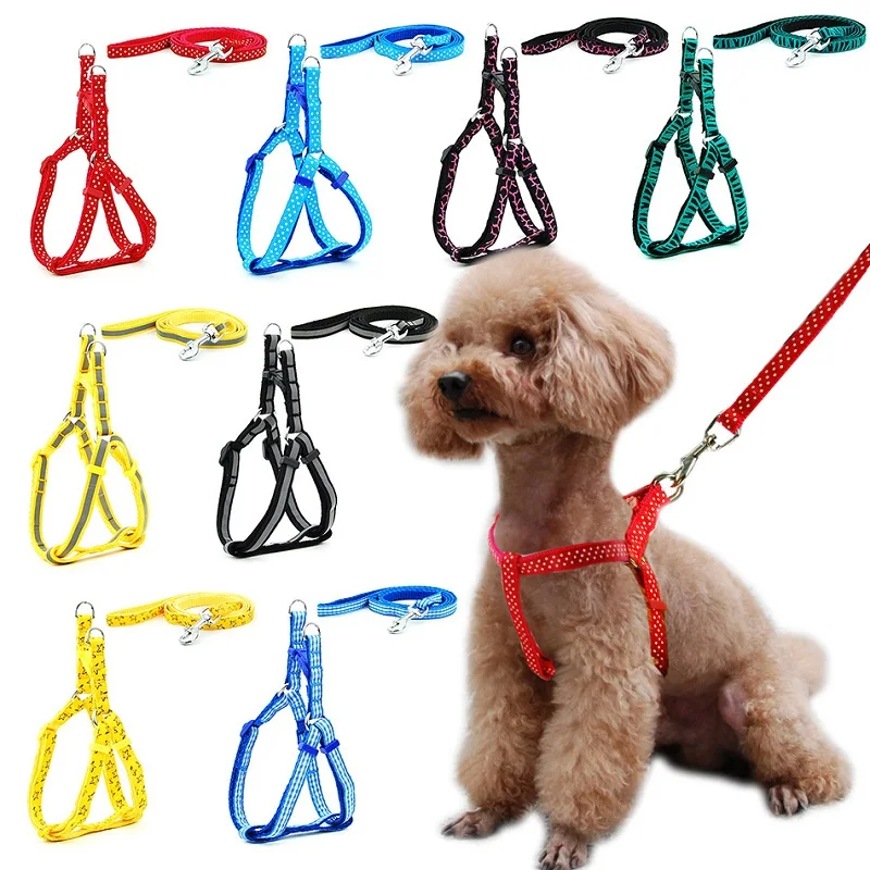 Small Dog Cat Harness Leash Adjustable Vest Collar Puppy Outdoor Walking Chihuahua Terier Schnauzer 1005006135987721