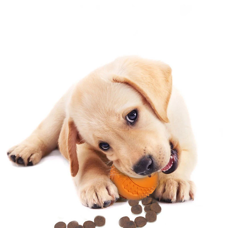 Pet Rubber Food Leakage Ball Dog Molars and Teeth Cleaning Chew Balls Training Slow Food Feeder 1005006159324112