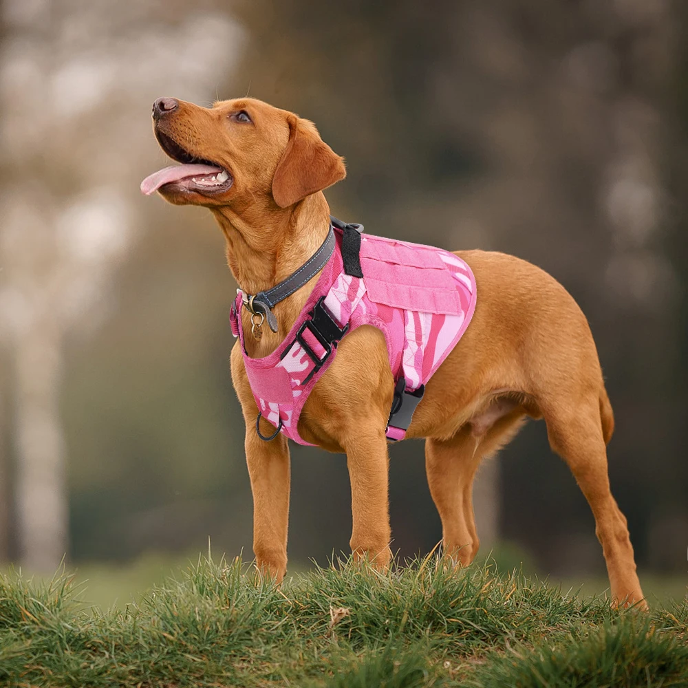 Military Dog Harness For Large Medium Dogs Pink Harness Collar Leash Set Adjustable Pet German 1005006225195438