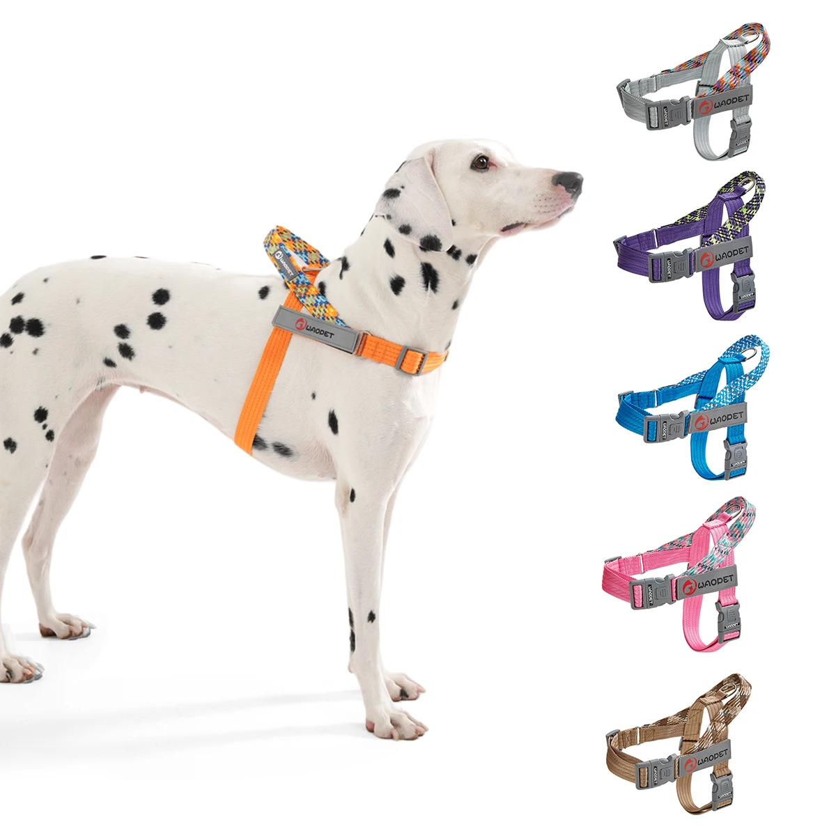 Walking Dog Harnesses For Heavy Medium Large Dogs Creative Design Flat Rope Durable Nylon Dog Rope 1005006246917180