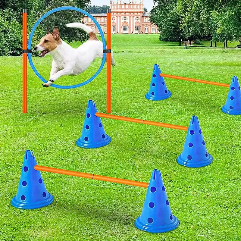 Pet Agility Training Set Jumping Bar Dog Obstacle Training Equipment Hurdle Training Dog Training 1005006253240433
