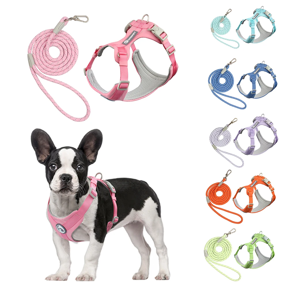 Walking Dog Harnesses Set With Leashes Pet Dog Cat Gifts Vest For Small Medium Large Dogs Rope Set 1005006266053943