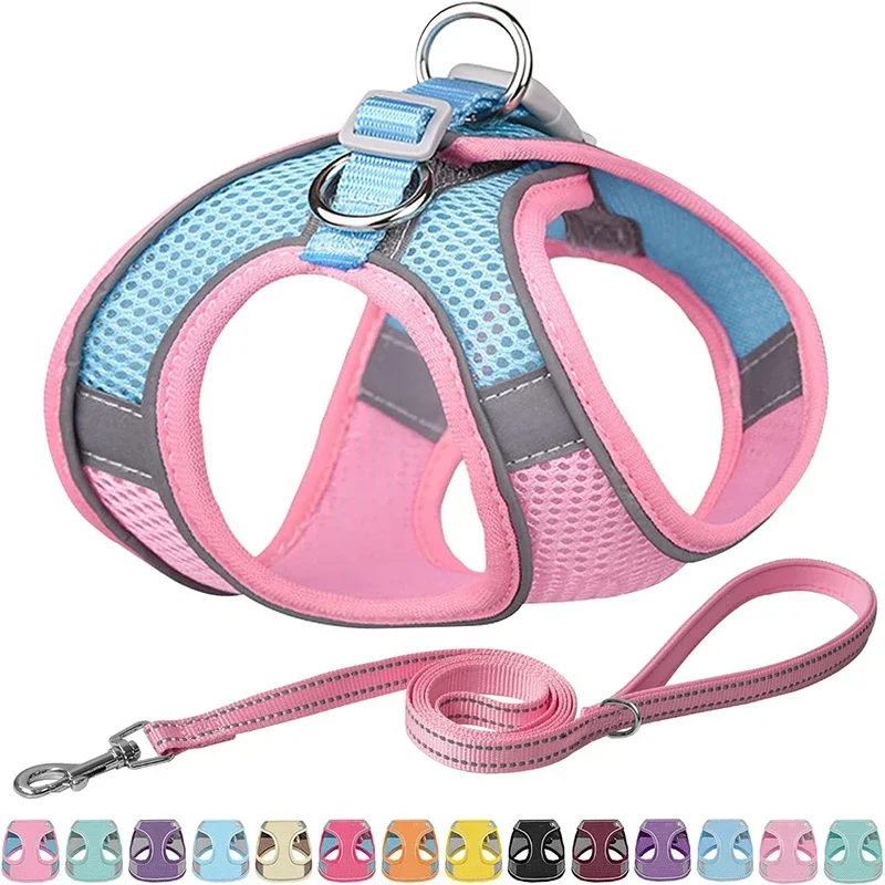 Dog Harness Vest Chest Cat Collars Rope Adjustable Breathable Mesh Dog Harness Clothes Outdoor 1005006267146200