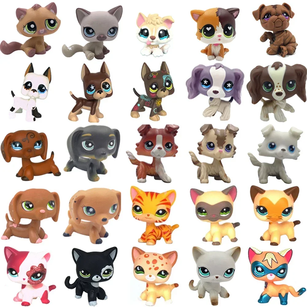 Rare pet toy Stands Short Hair Kitten Dog Dachshund Collie Spaniel Great Dane Original Bobble head 1005006304817487