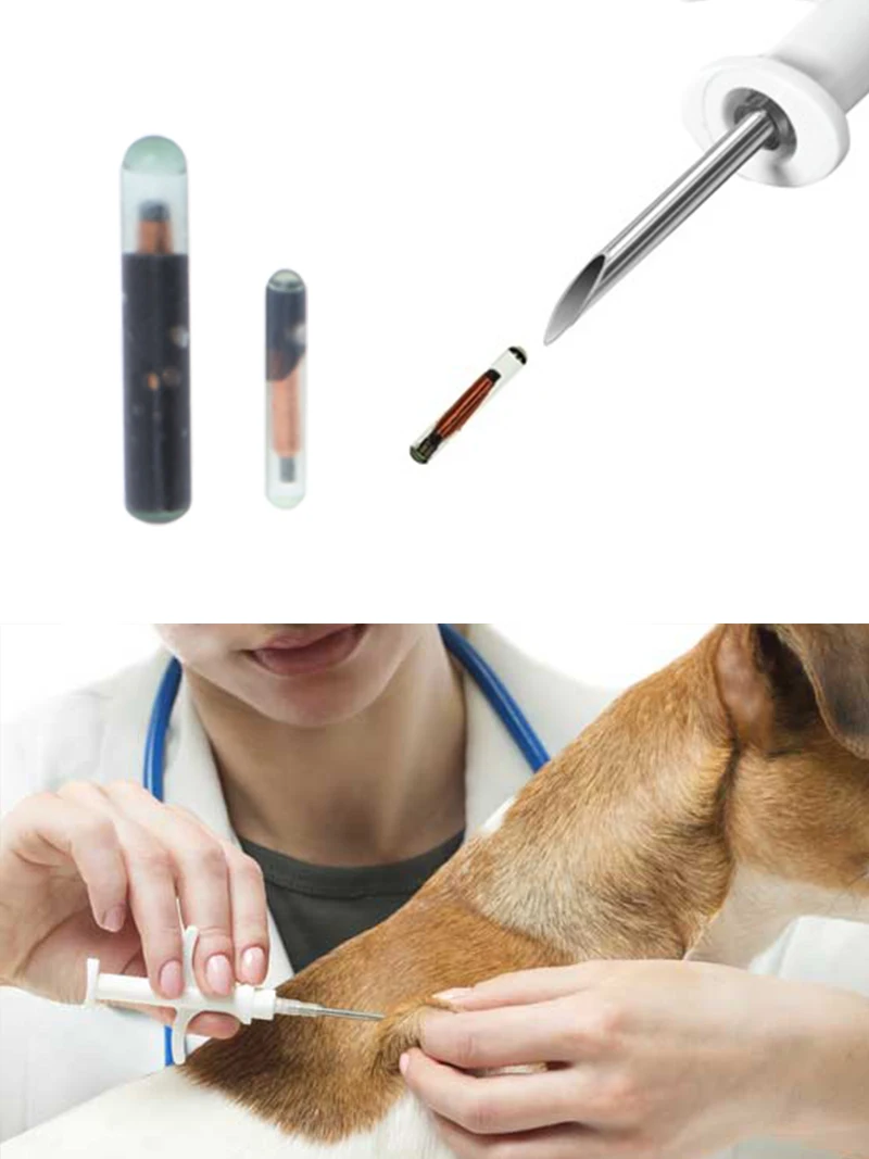 Pet Microchip 134.2KHZ Dog Microchip Biological Glass Animal RFID ID Tag With EM4305 Chip For 1005006312804029