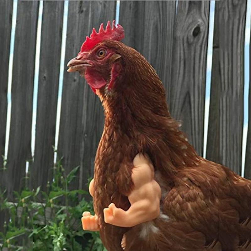 Chicken Arm Decoration Chicken Forelimb Decor Dinosaur Spoof Pet Props Chicken Arm Hulk Arms 1005006335015915
