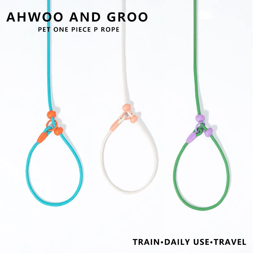 Pet Dog Training Round Rope 150cm Light Weight Nylon P Chain Collar Adjustable for Small Medium 1005006339813026