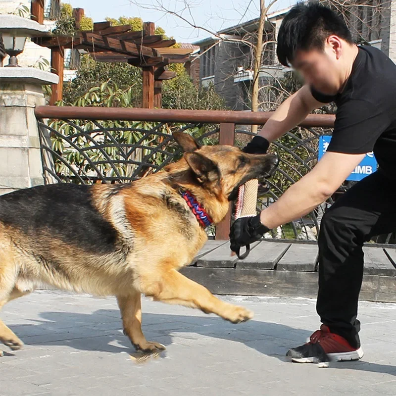 View 2