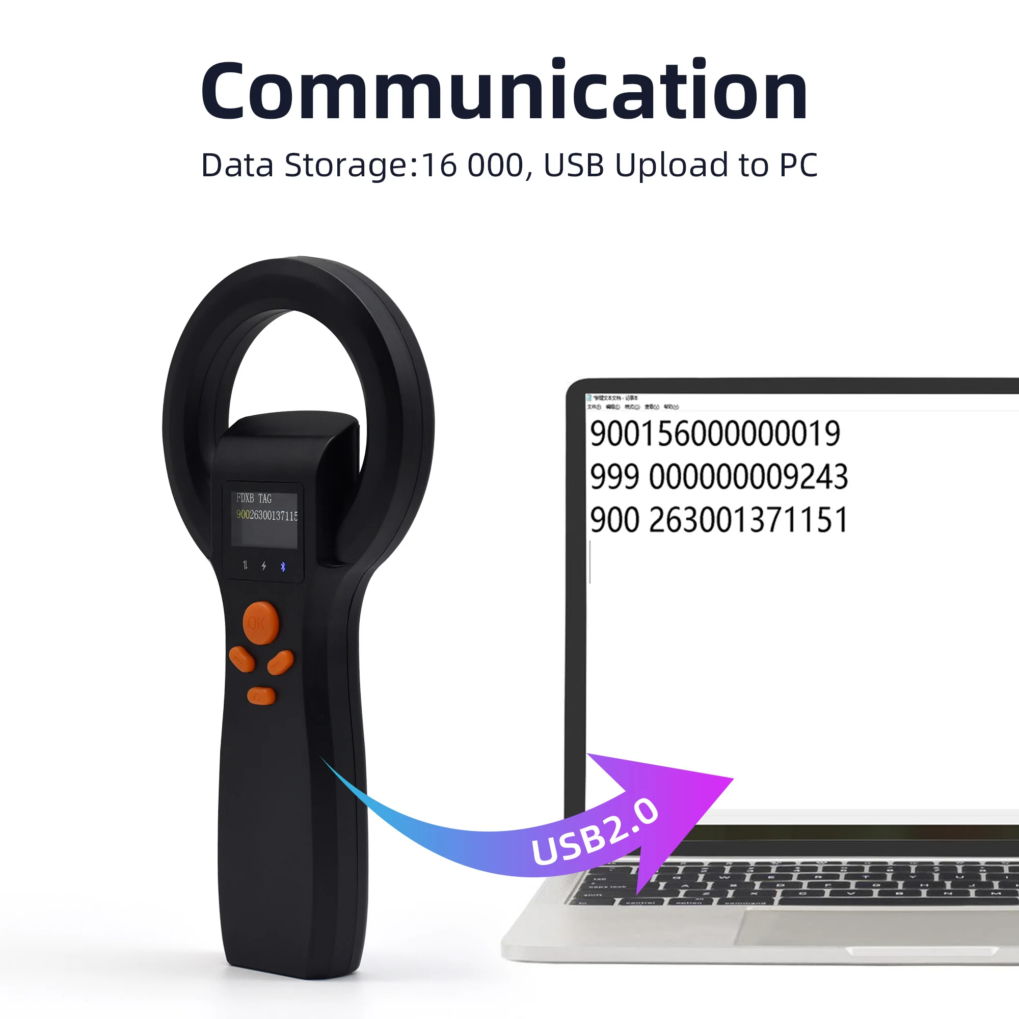 View 4