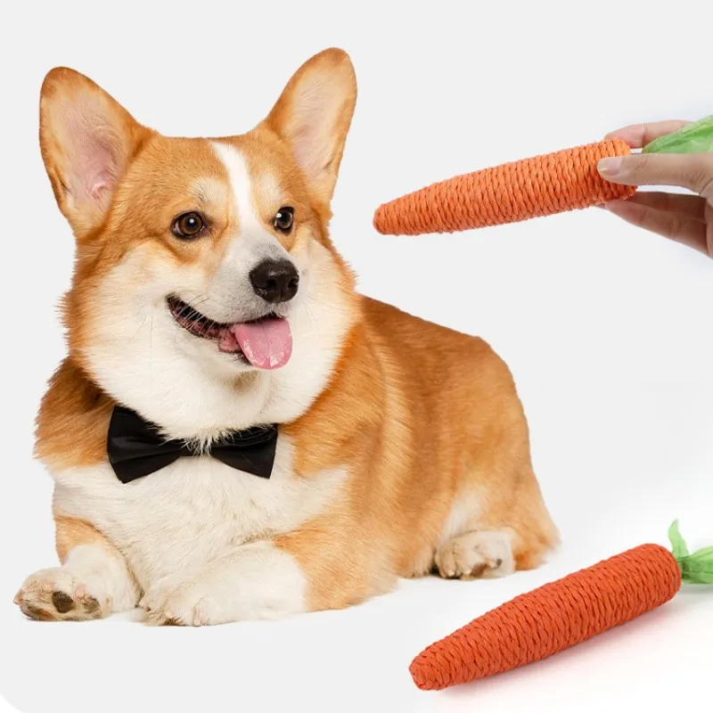 Dog Toys Cute Carrots Toys for Dogs Teeth Cleaning Self-hi Interactive Dog Toy Kitten Toy Grinding 1005006519535049