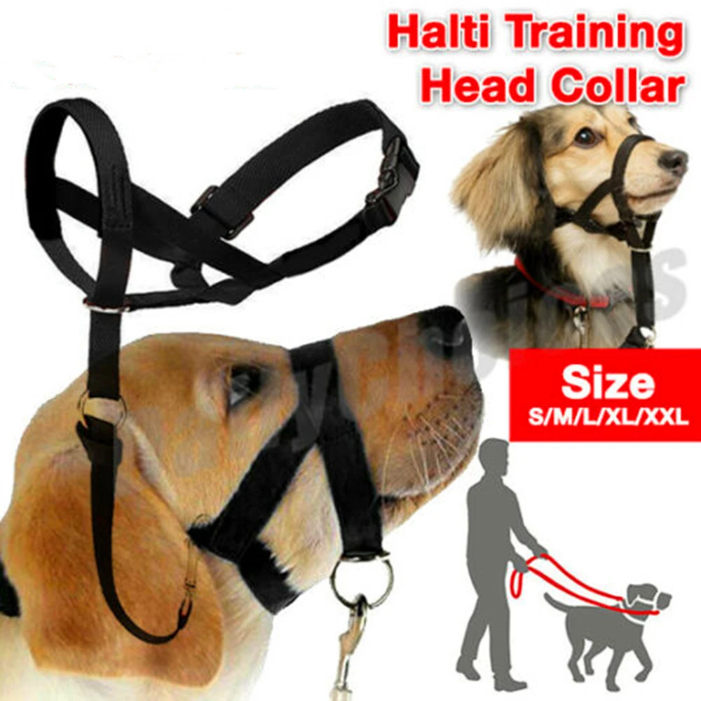 New Nylon Dog Muzzle Dogalter Dog Halter Halti Training Head Collar Adjustable Gentle Leader 1005006529048949