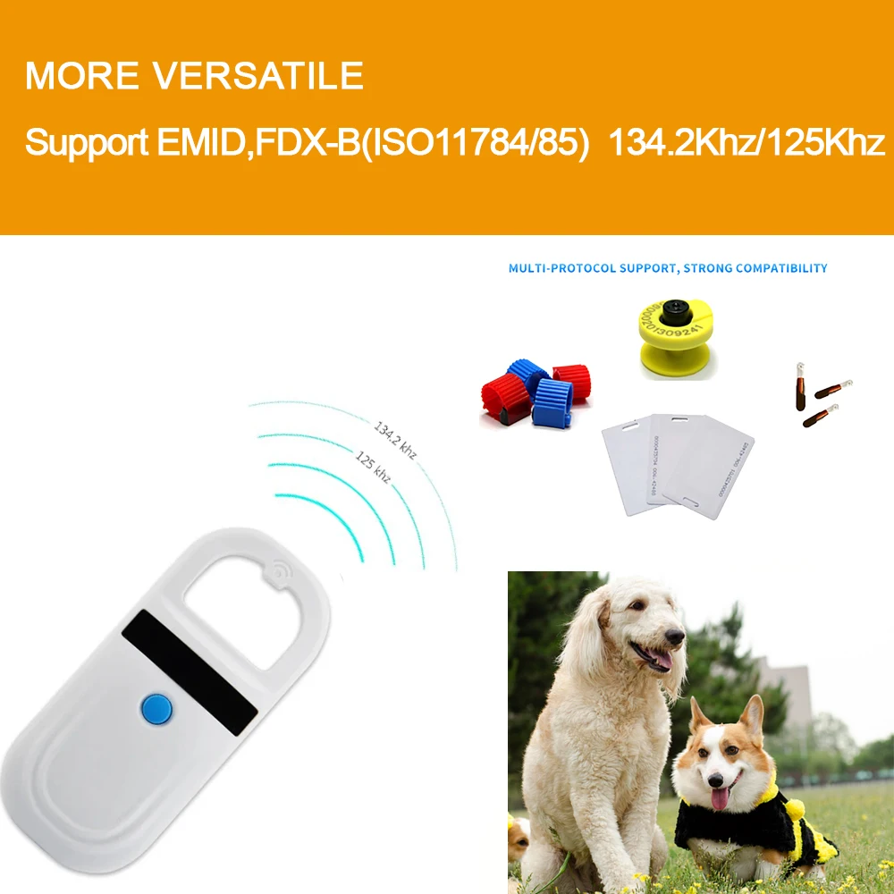 View 5