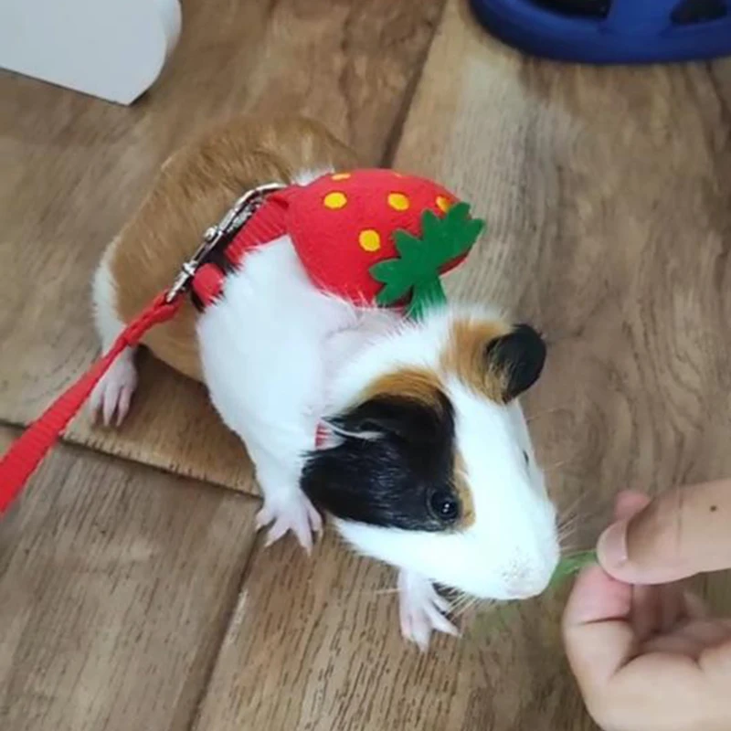 Walking Bunny Guinea Pig Harness for Small Animals Cute Pet Rabbit Harnesses and Leash Set 1005006626207745