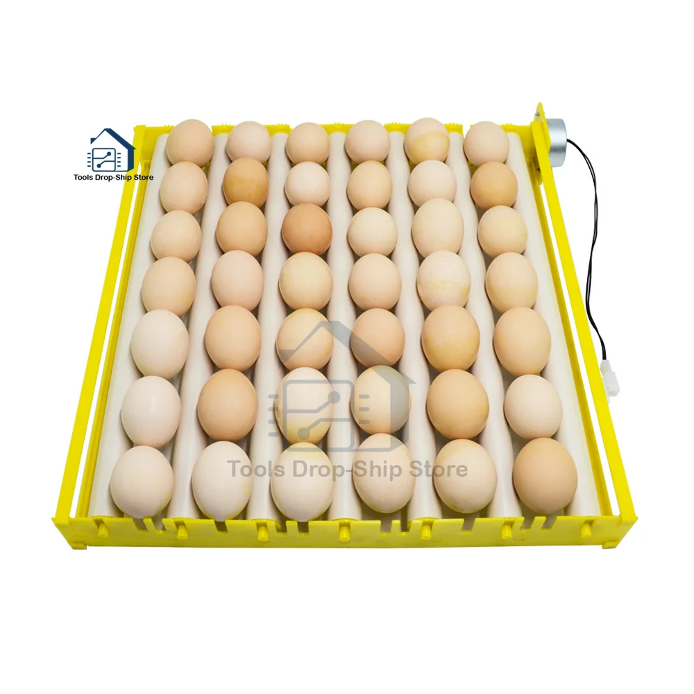 360° Automatic Rotary Egg Turner Roller Tray Eggs Incubator Accessories Roller Pattern Egg Turner 1005006640075021
