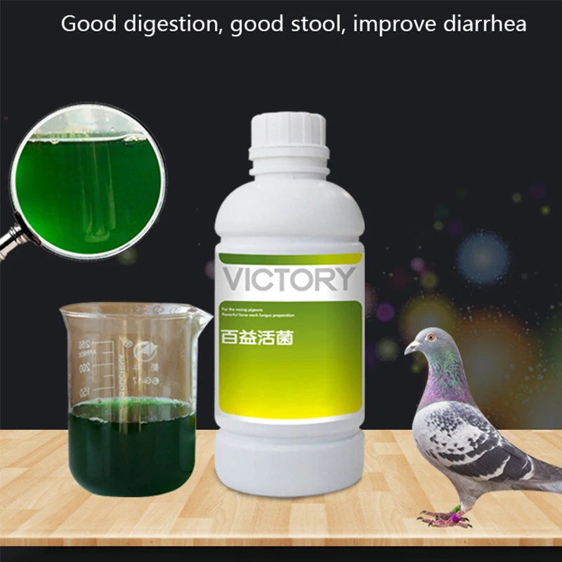 Pigeon Gastrointestinal Probiotics 500ml Meat Pigeon Racing Pigeon Homing Pigeon Diarrhea Diarrhea 1005006672818759