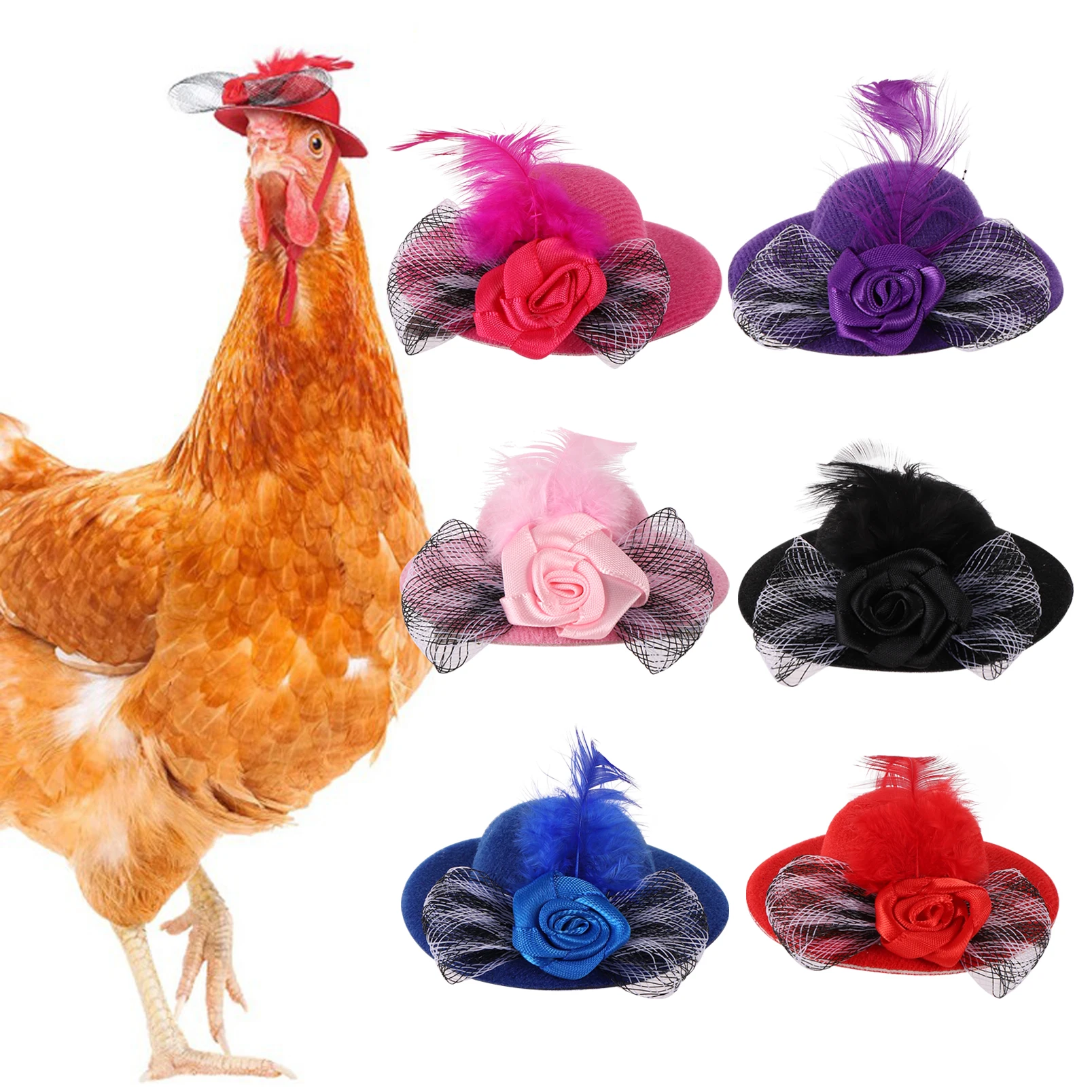 View 5
