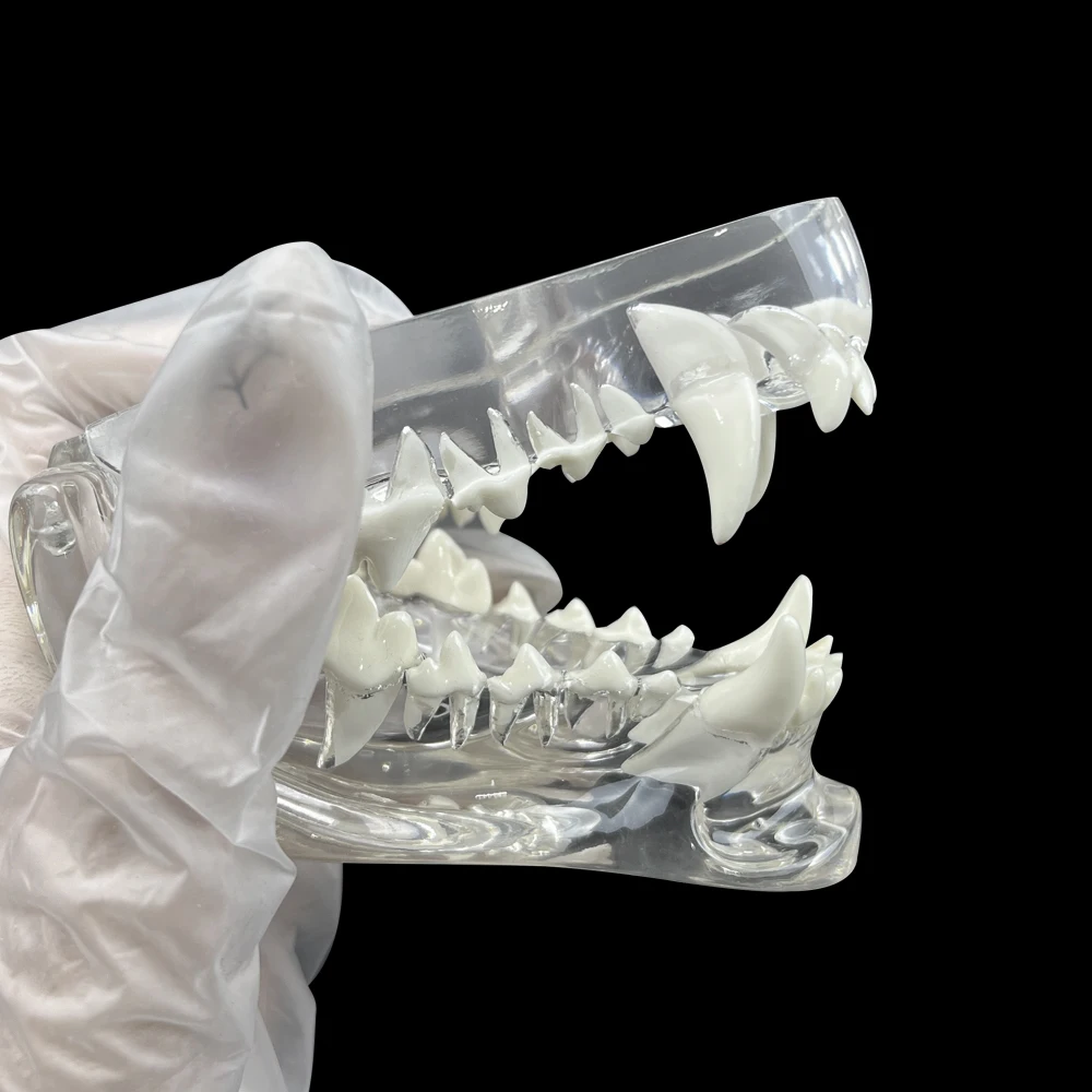 View 6