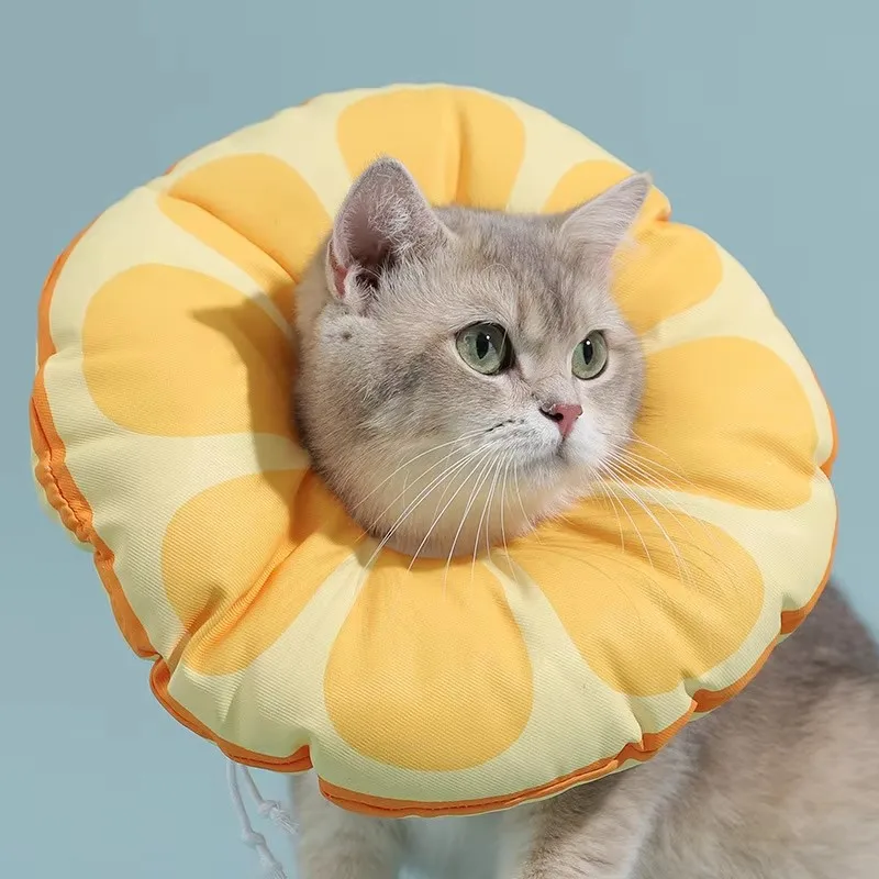 HOOPET Cat Elizabethan Collar Pet Neck Cone Soft Wearing Resistant Cat Accessories Cats Wound 1005006728107740