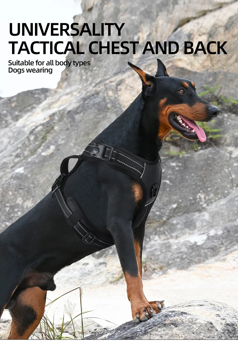 Dog Harness, No Pull Harness, Reflective No-Choke Pet PU Vest 1005006741190234