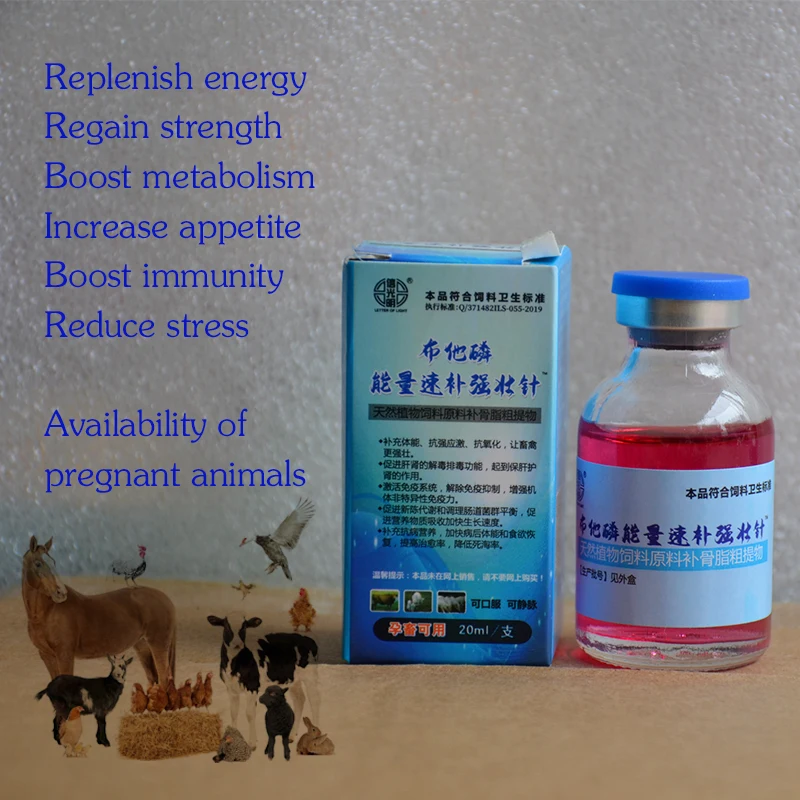 Energy quick supplement strong needle supplement physical ability to enhance body immunity poultry 1005006743367988
