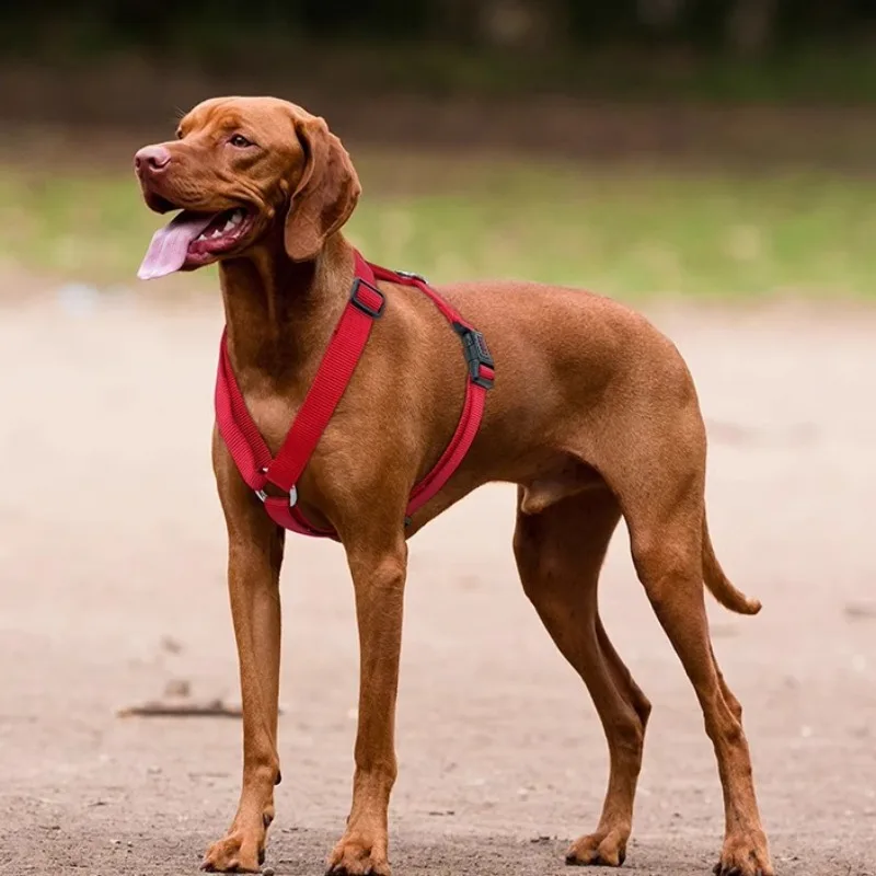 Leisure H-shaped Chest and Back Anti Slip Small Medium and Large Dog Outdoor Vest Style Pet Dog 1005006765506671