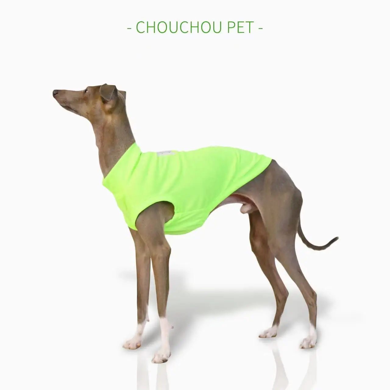 iggy summer breathable dog vest outdoor sun protection pet clothes cool and comfortable whippet for 1005006779563325